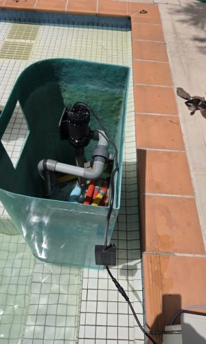 Top-down interior view of a teal plug and play pool filtration box showing the water pump and PVC piping setup.