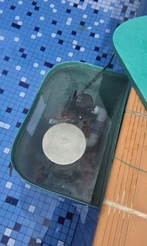 Teal plug and play pool filtration unit positioned at the edge of a tiled swimming pool.