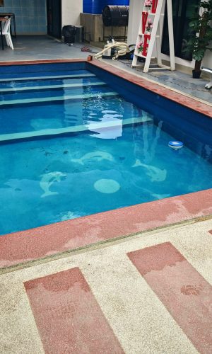 Wide view of a rectangular in-ground swimming pool featuring a white plug and play filtration system with stainless steel handrails.